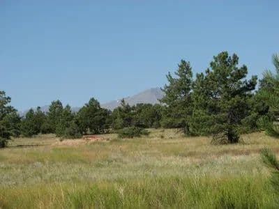 All Systems Go! in Cotopaxi, Colorado - photo 29
