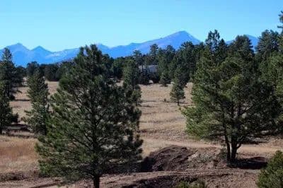 All Systems Go! in Cotopaxi, Colorado - photo 7