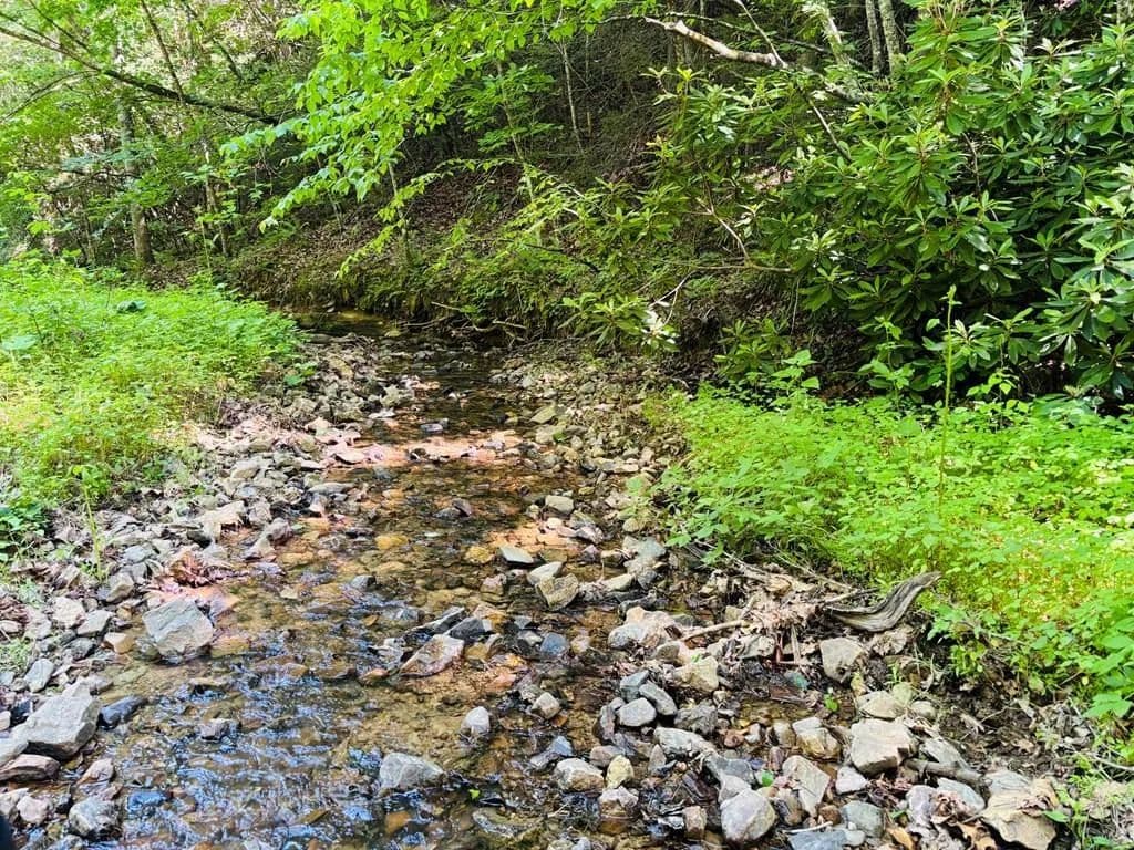 Property from TBD Pleasant View Road #TBD - KW - Austinville, Virginia, 24312