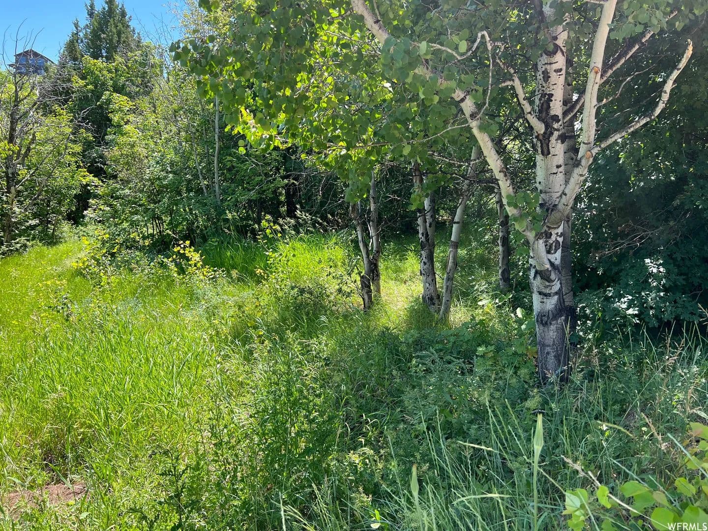 0.33 Acres of Land for Sale in Garden City, UT - Garden City, Utah, 84028