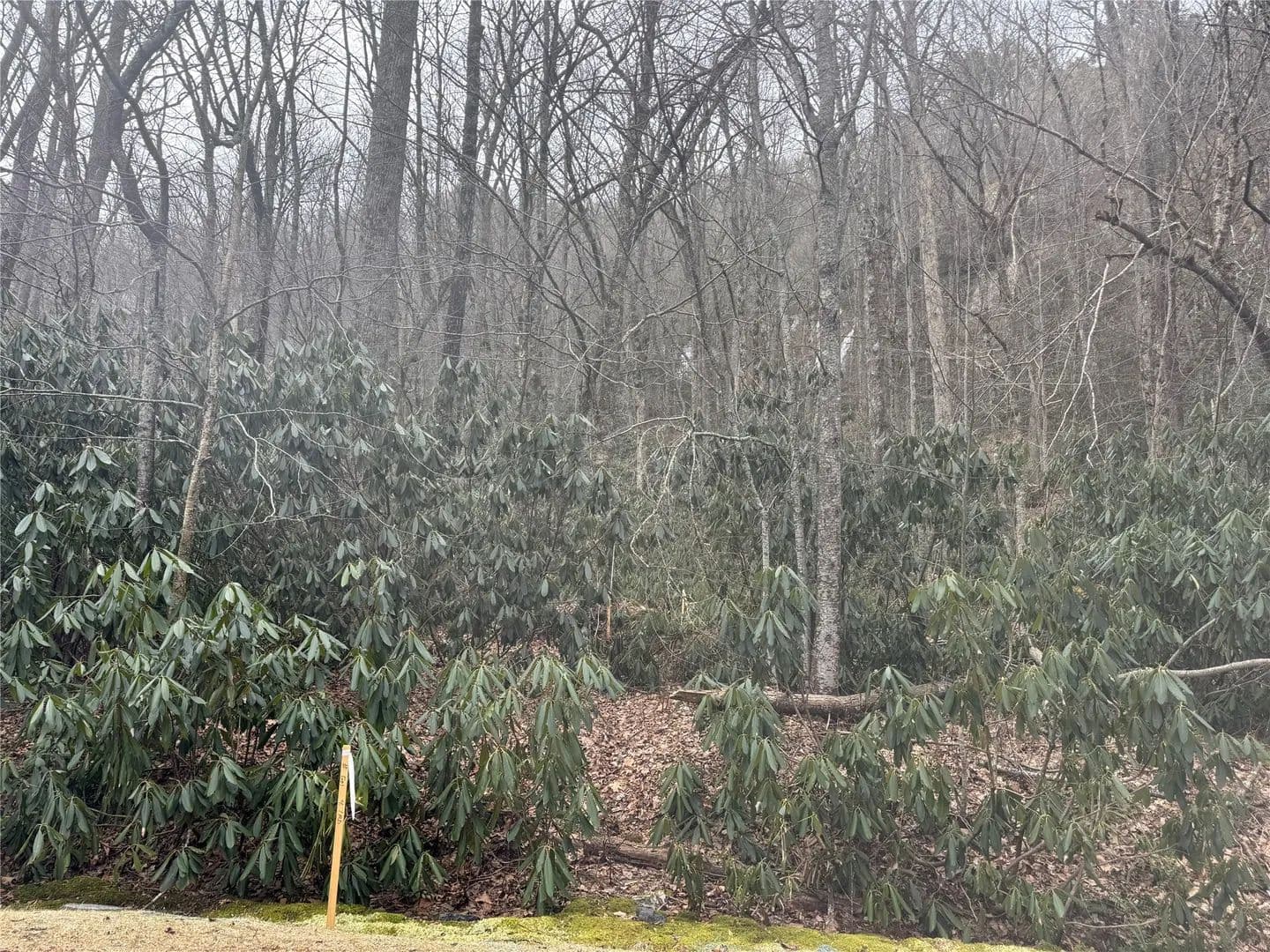 1.64 Acres of Land for Sale in Highlands, NC - Highlands, North Carolina, 28741