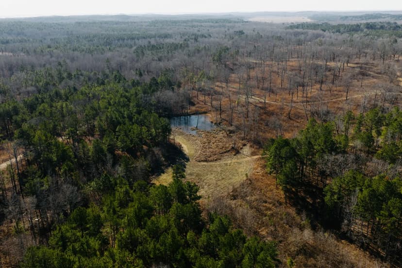 276.2 Acres in Yalobusha County, MS