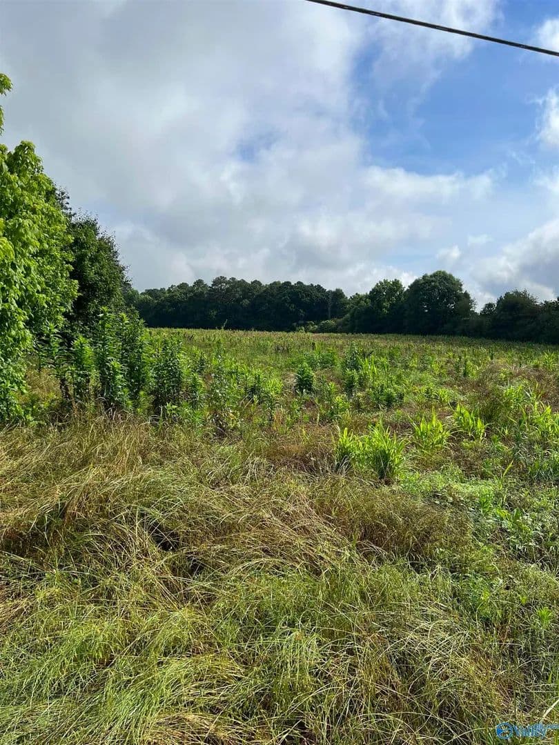 10 Acres of Land for Sale in Arab, Alabama - Arab, Alabama, 35016