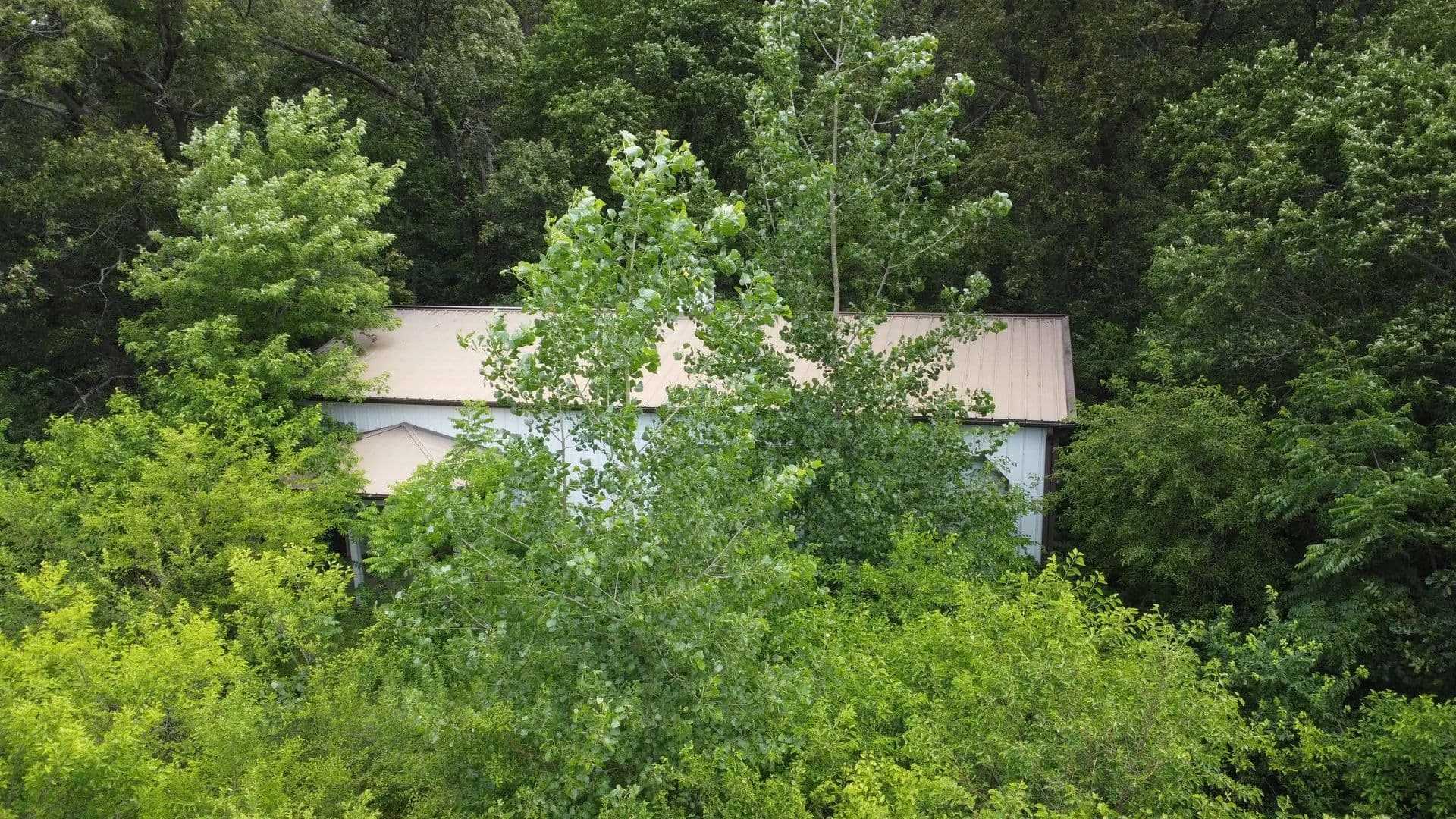 20.69 Acres of Land for Sale in Donovan, IL - Donovan, Illinois, 60931