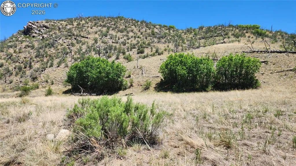 Property from TBD L 35th Trail - KW - Cotopaxi, Colorado, 81223
