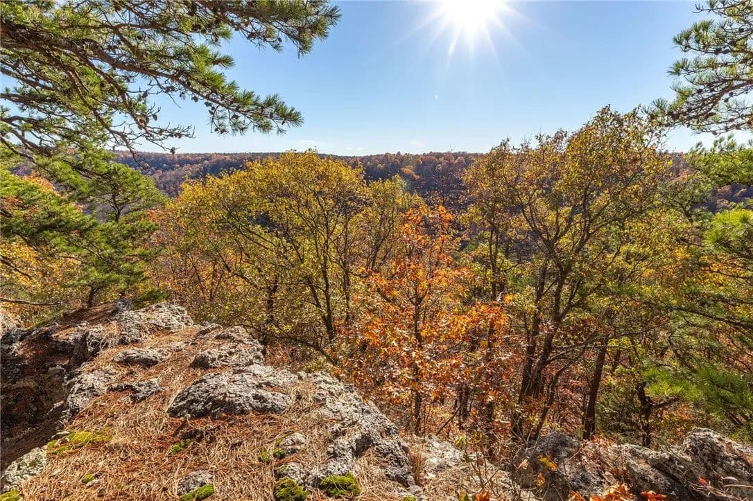 60 Acres of Land for Sale in Berryville, Arkansas - Berryville, Arkansas, 72616