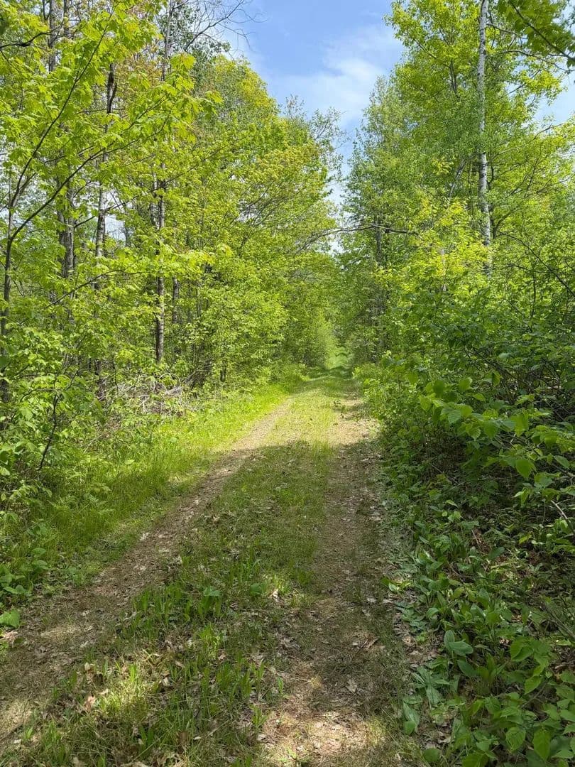 6.66 Acres of Land for Sale in Kerrick, MN - Kerrick, Minnesota, 55756