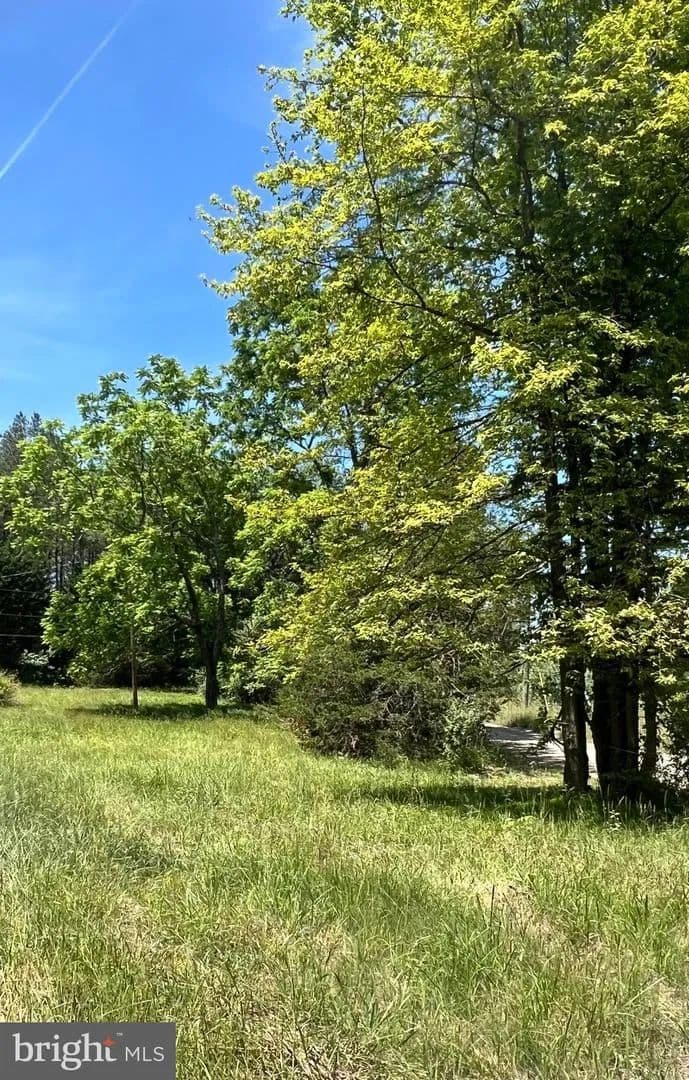 Vacant Land in Gainesville - land for sale