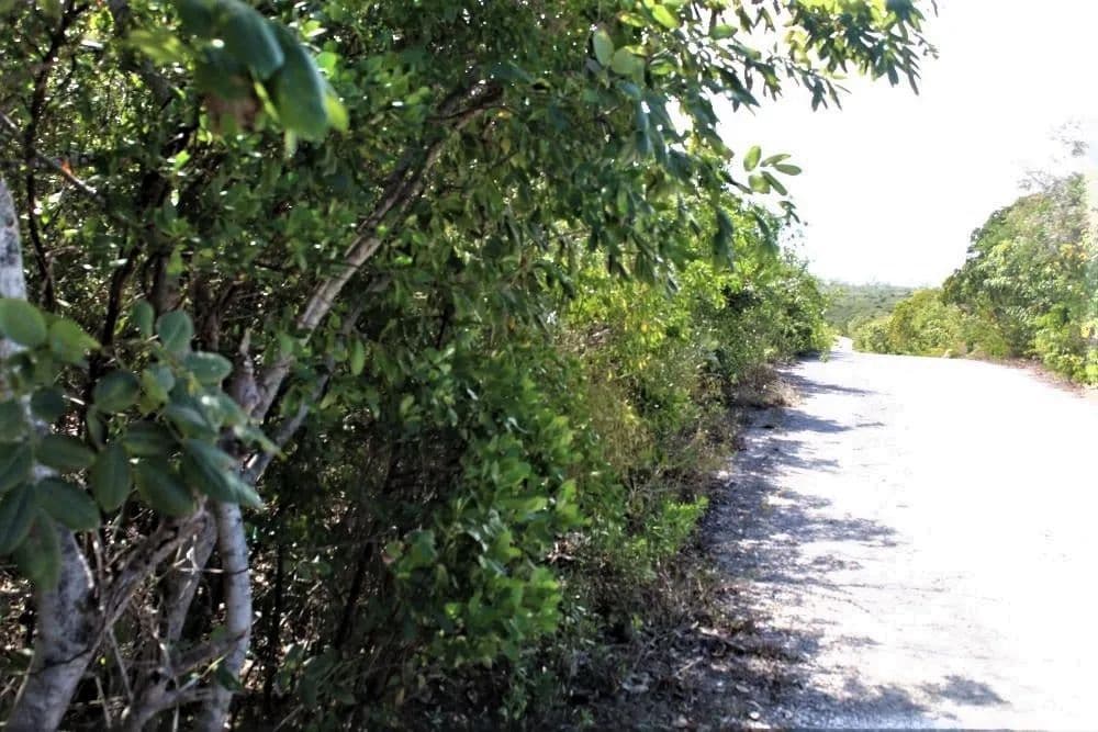 Vacant Land in Long Island - land for sale