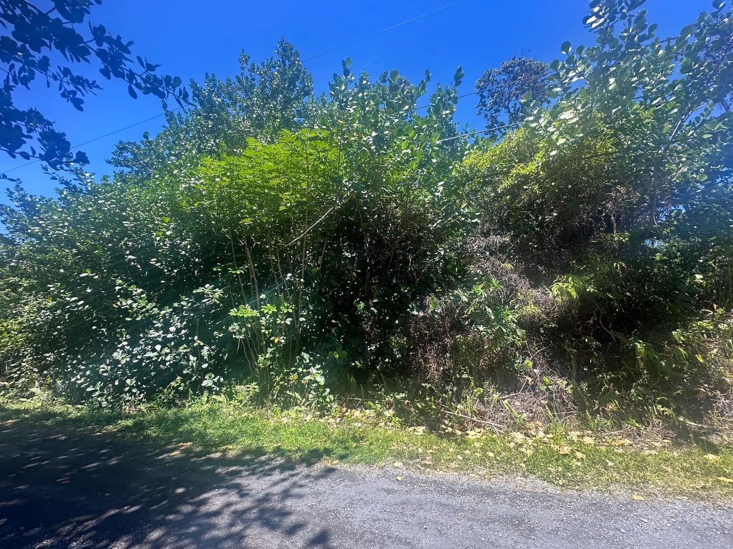 Property from 15-1144 AMAU RD - KW - Keaau, Hawaii, 96749