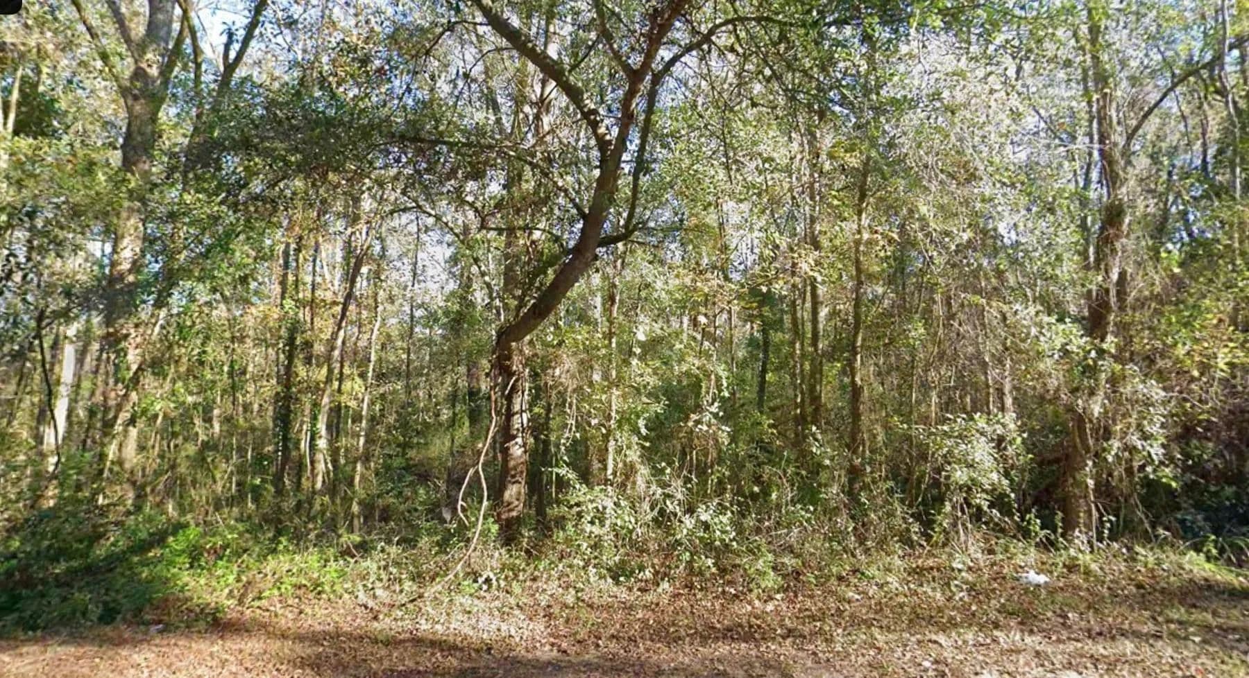 Property from 0 MOCCASIN GAP Road - KW - Tallahassee, Florida, 32309