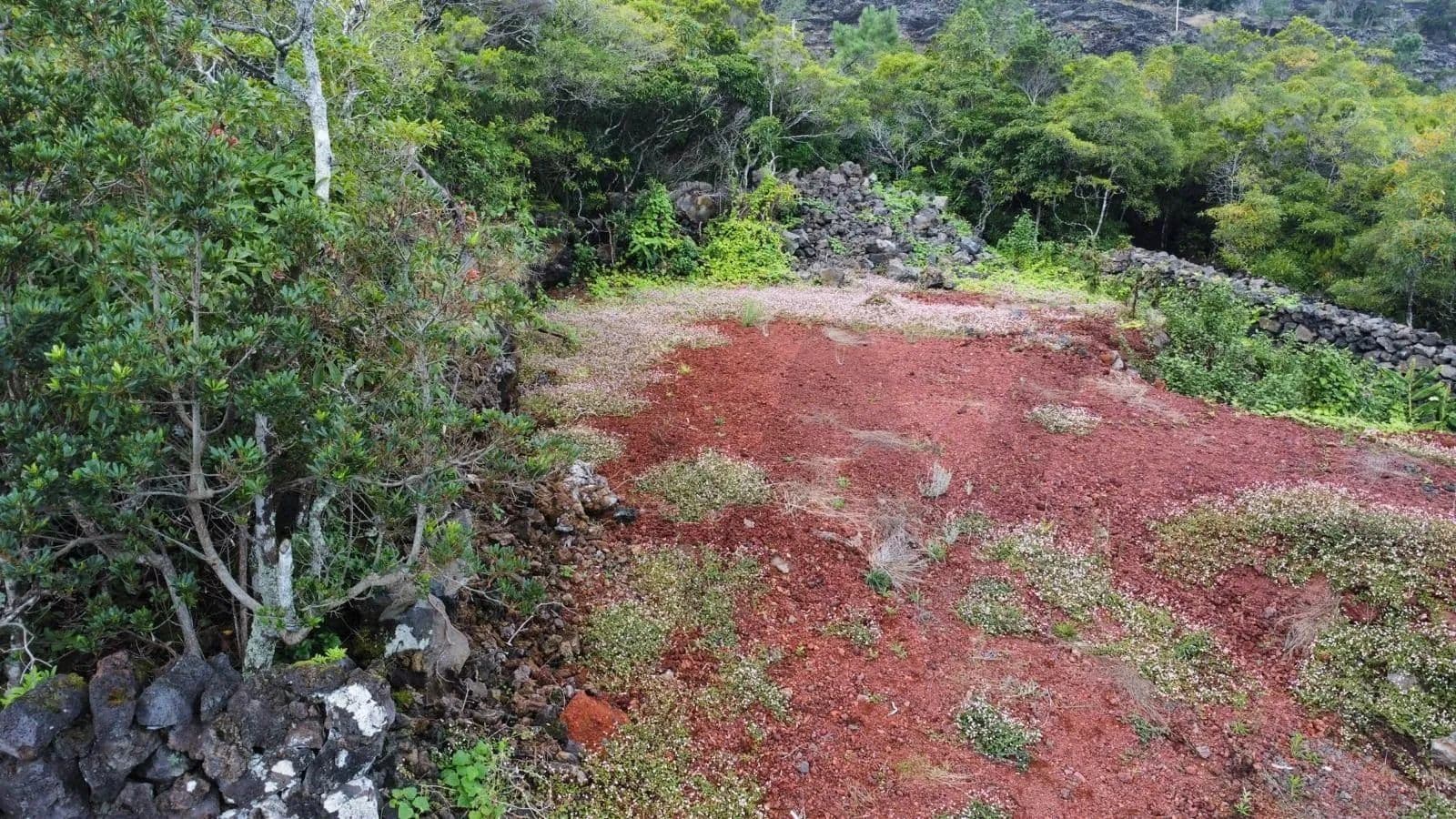 70 Acres of Land for Sale in Prainha, São Roque do Pico - land for sale