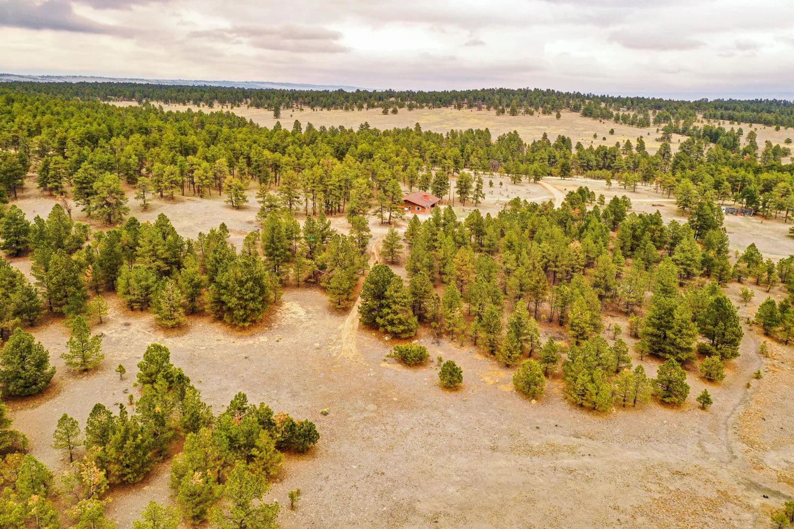 Black Forest Acreage in Colorado Springs, Colorado - photo 2