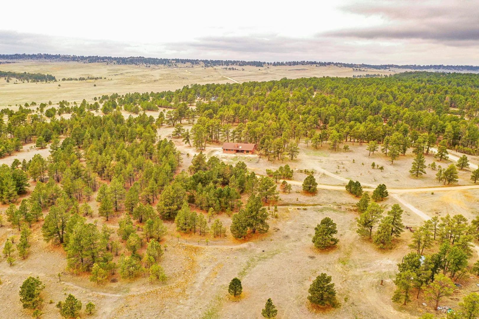Black Forest Acreage in Colorado Springs, Colorado - photo 3