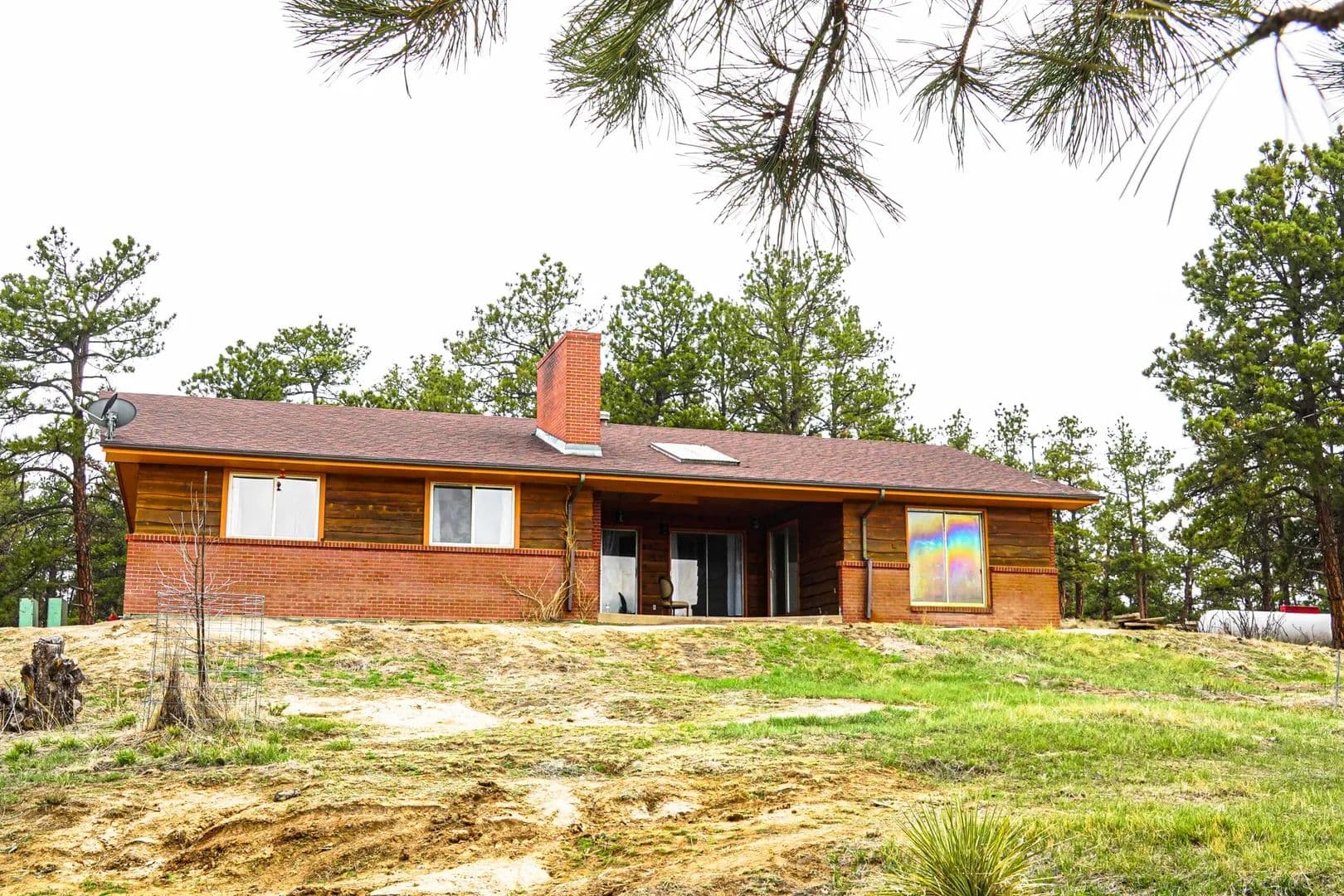 Black Forest Acreage in Colorado Springs, Colorado - photo 11