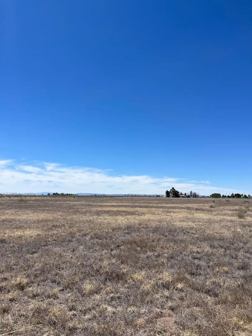 Property from NM Highway 55 - KW - Estancia, New Mexico, 87016