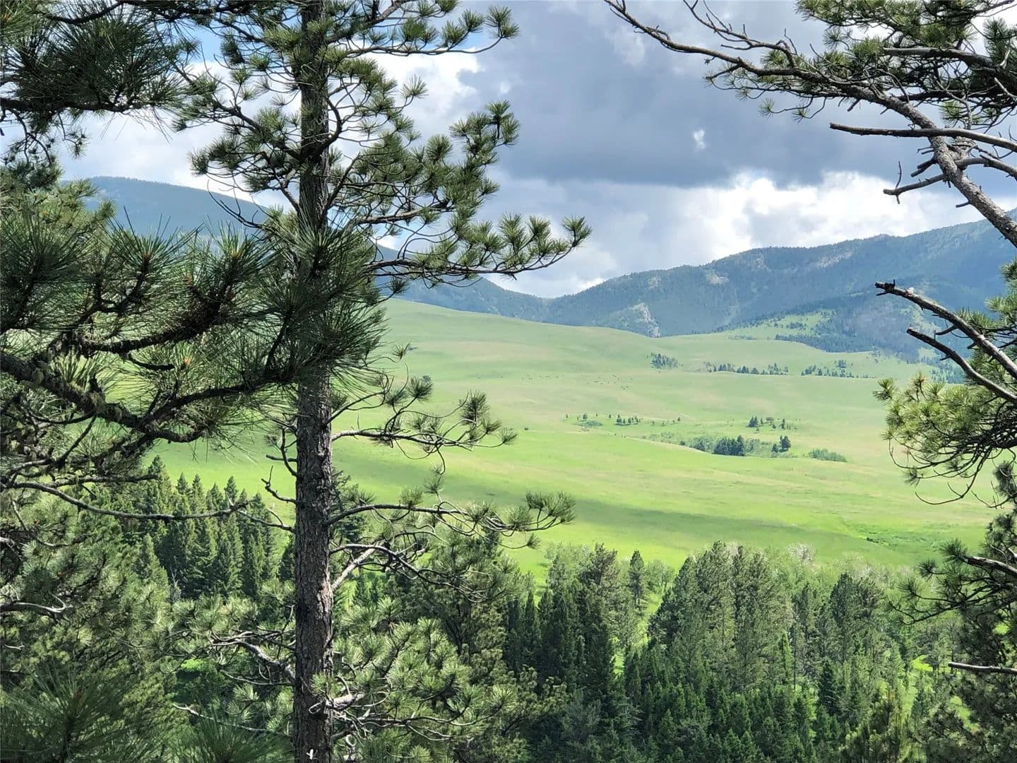 Property from TBD Arrowood Estates Road - KW - Raynesford, Montana, 59469