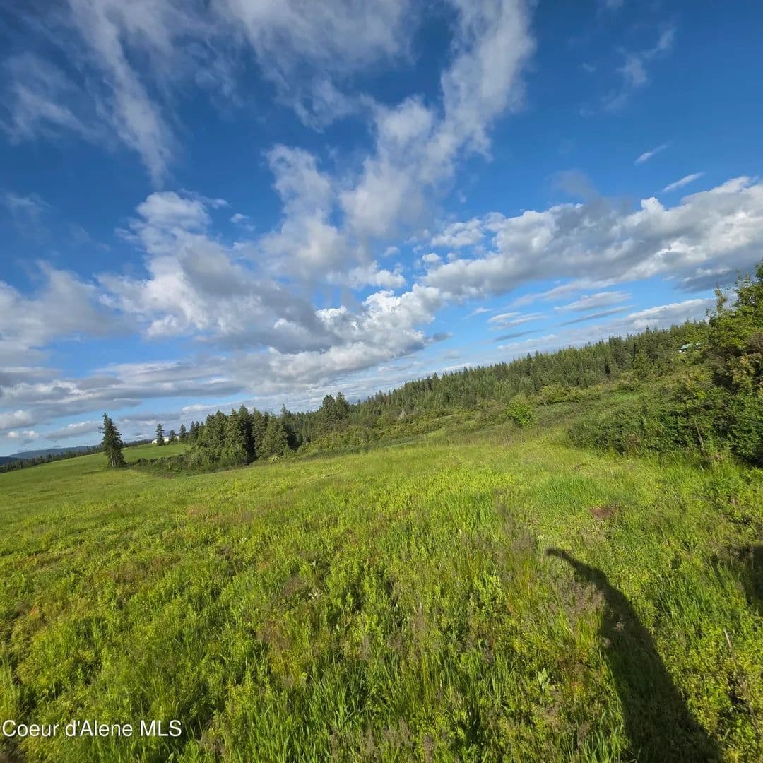 34 Acres of Land for Sale in Harrison, Idaho - Harrison, Idaho, 83833