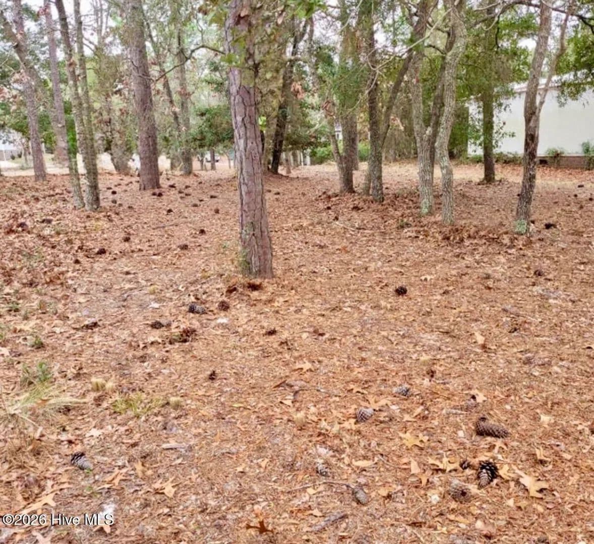 Property from 3317 Marlin Drive SE - KW - Bolivia, North Carolina, 28422