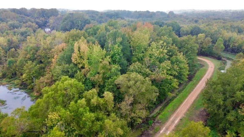 6.09 Acres in Quitman County in Marks, MS