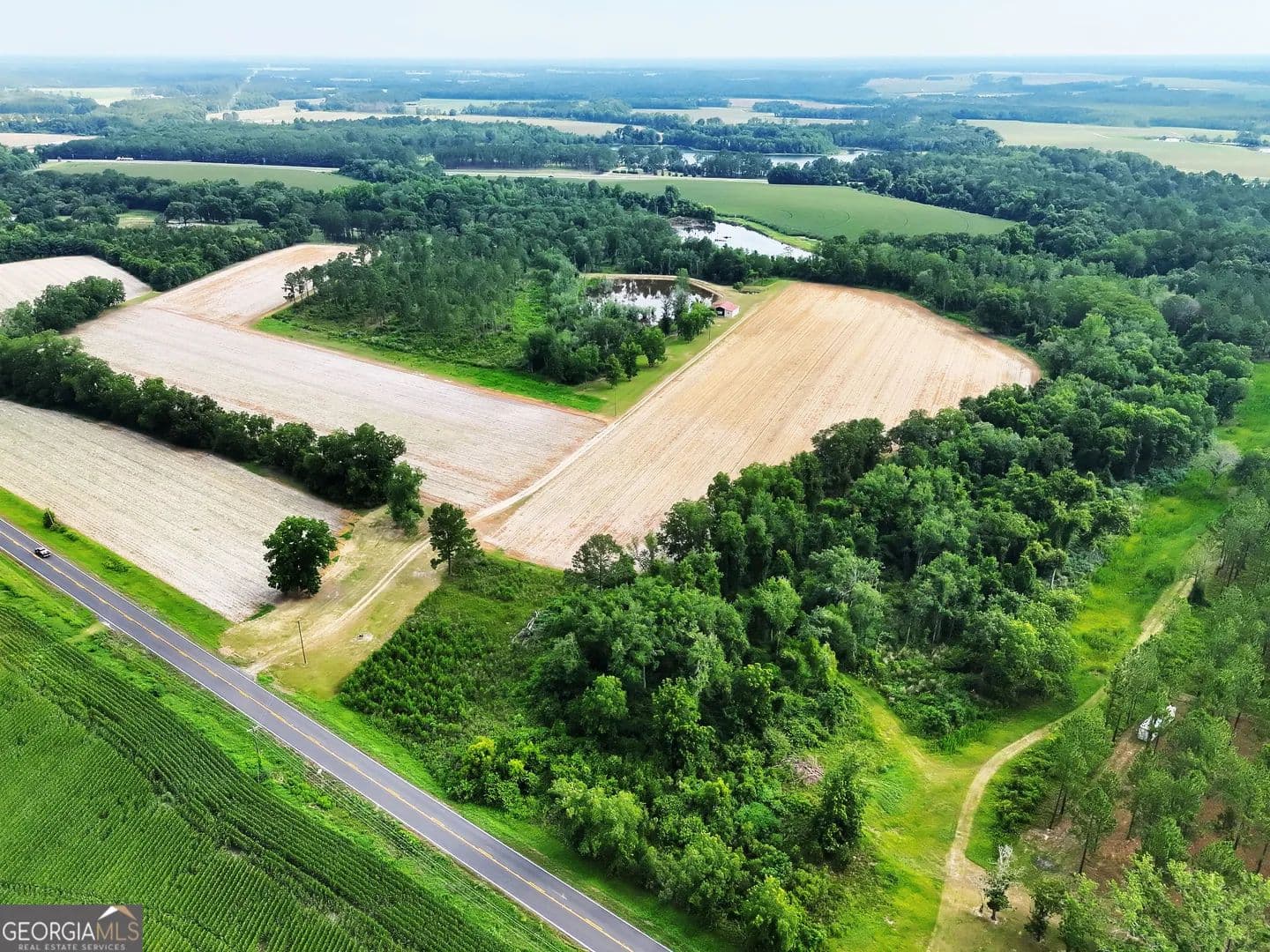 61.1 Acres of Land for Sale in Enigma, GA - Enigma, Georgia, 31749