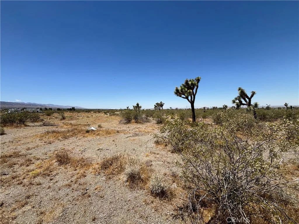 Property from 0 Danbury Road - KW - Pinon Hills, California, 92372
