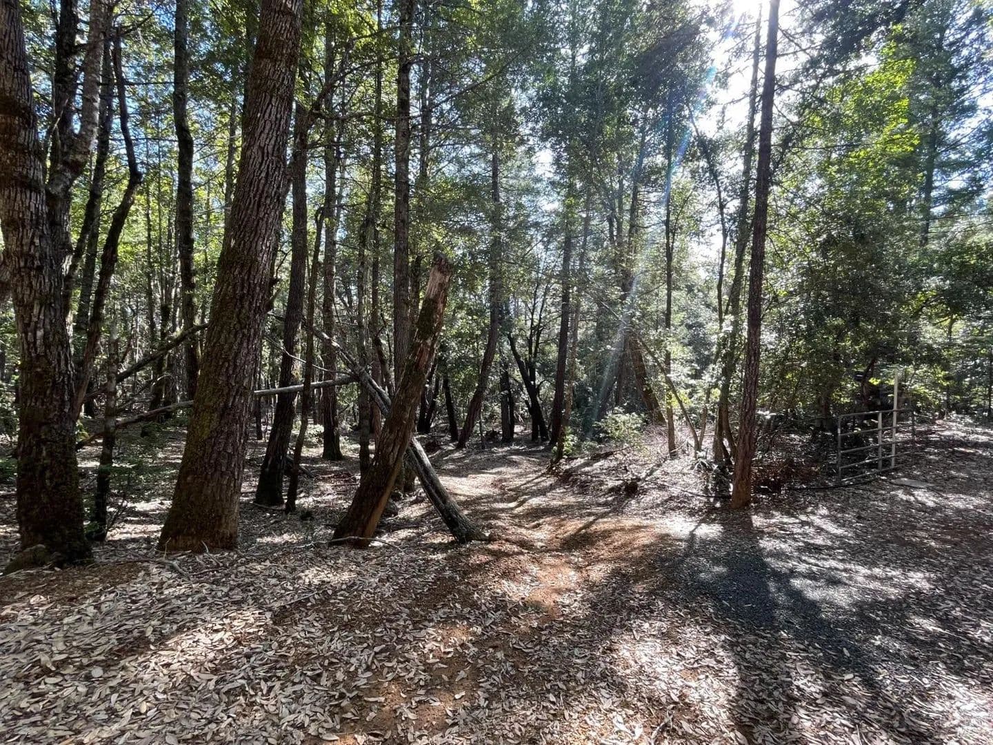 Property from 53800 Highway 101 - KW - Laytonville, California, 95454