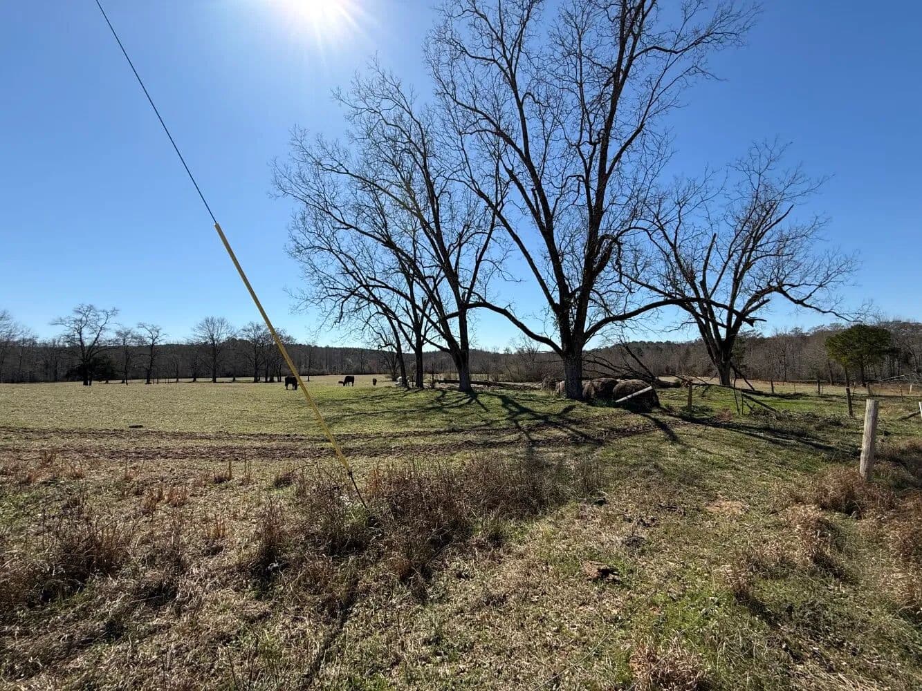 Great Homesite or Recreational Property Near Gordo - Gordo, Alabama, 35466