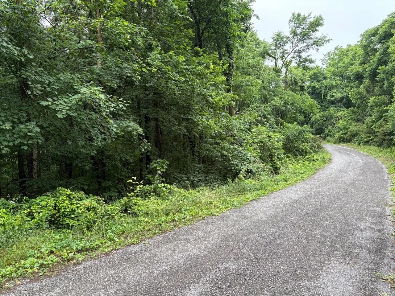 1 Acre of Land for Sale in Mount Pleasant, Tennessee - Mount Pleasant, Tennessee, 38474