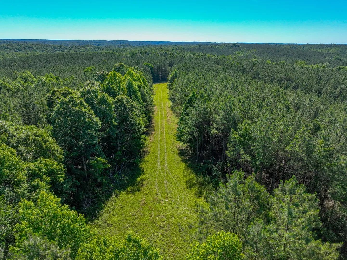 Property from 0 White Oak Rd - KW - Stewart, Tennessee, 37175