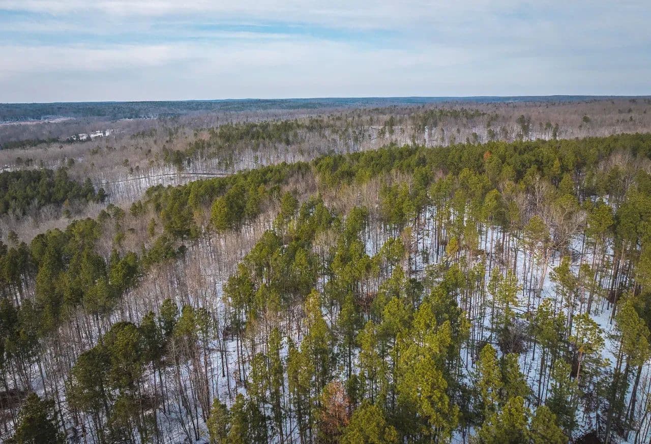 Barnett Hollow Tract 2 - Grandin, Missouri, 63943