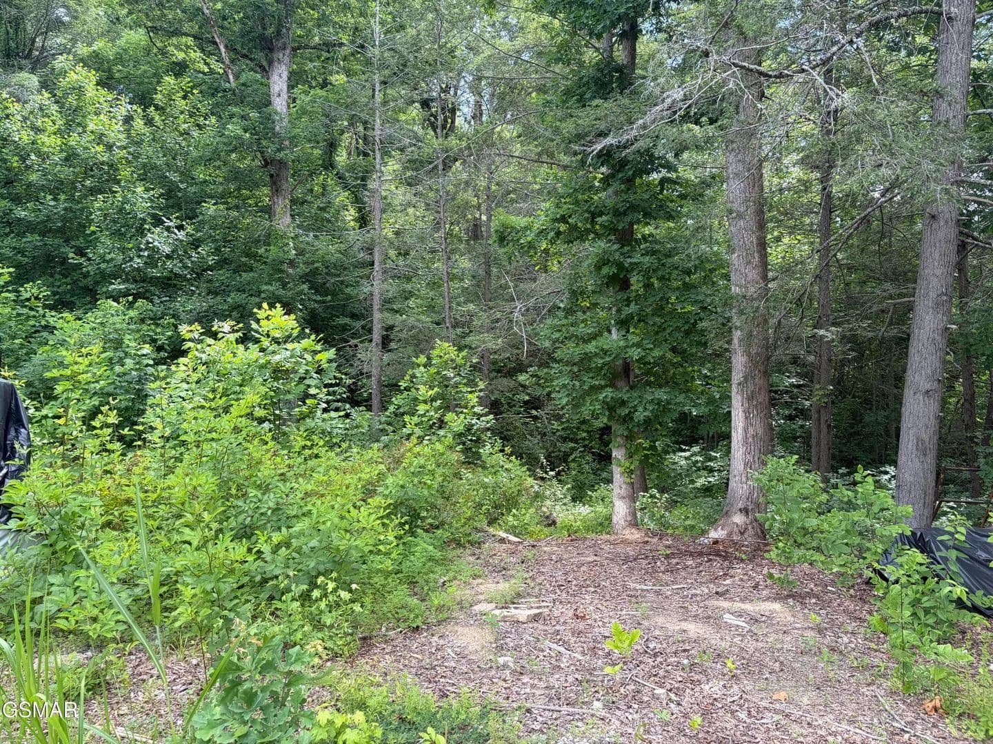 Property from 2708 Dayne Drive - KW - Sevierville, Tennessee, 37876