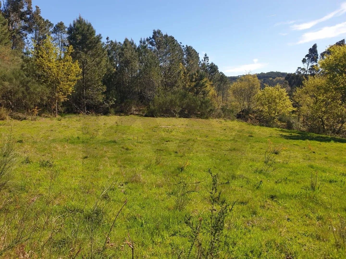 1430 Acres of Land for Sale in Rio Douro, Cabeceiras de Basto - land for sale