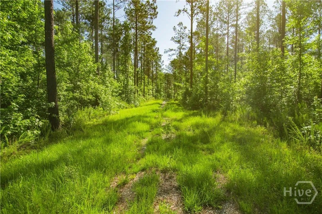 Property from 0 Weaver Jones Road - KW - Rutledge, Georgia, 30663