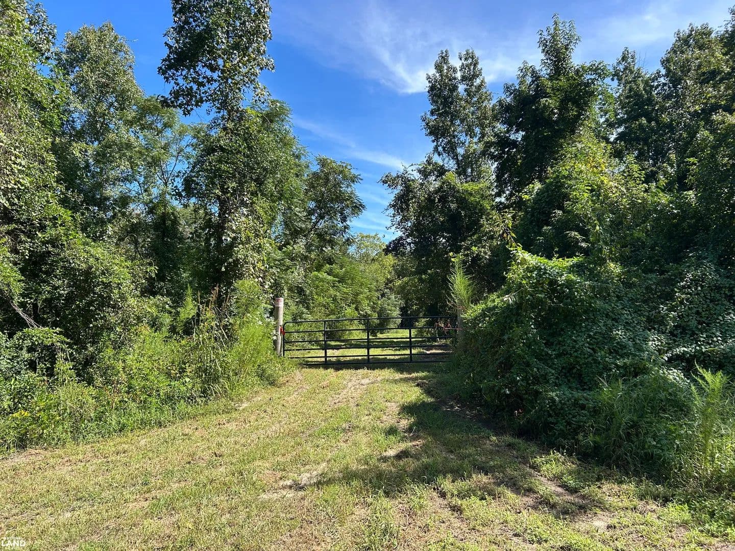 Taw Caw Tract with Cleared Homesite - land for sale