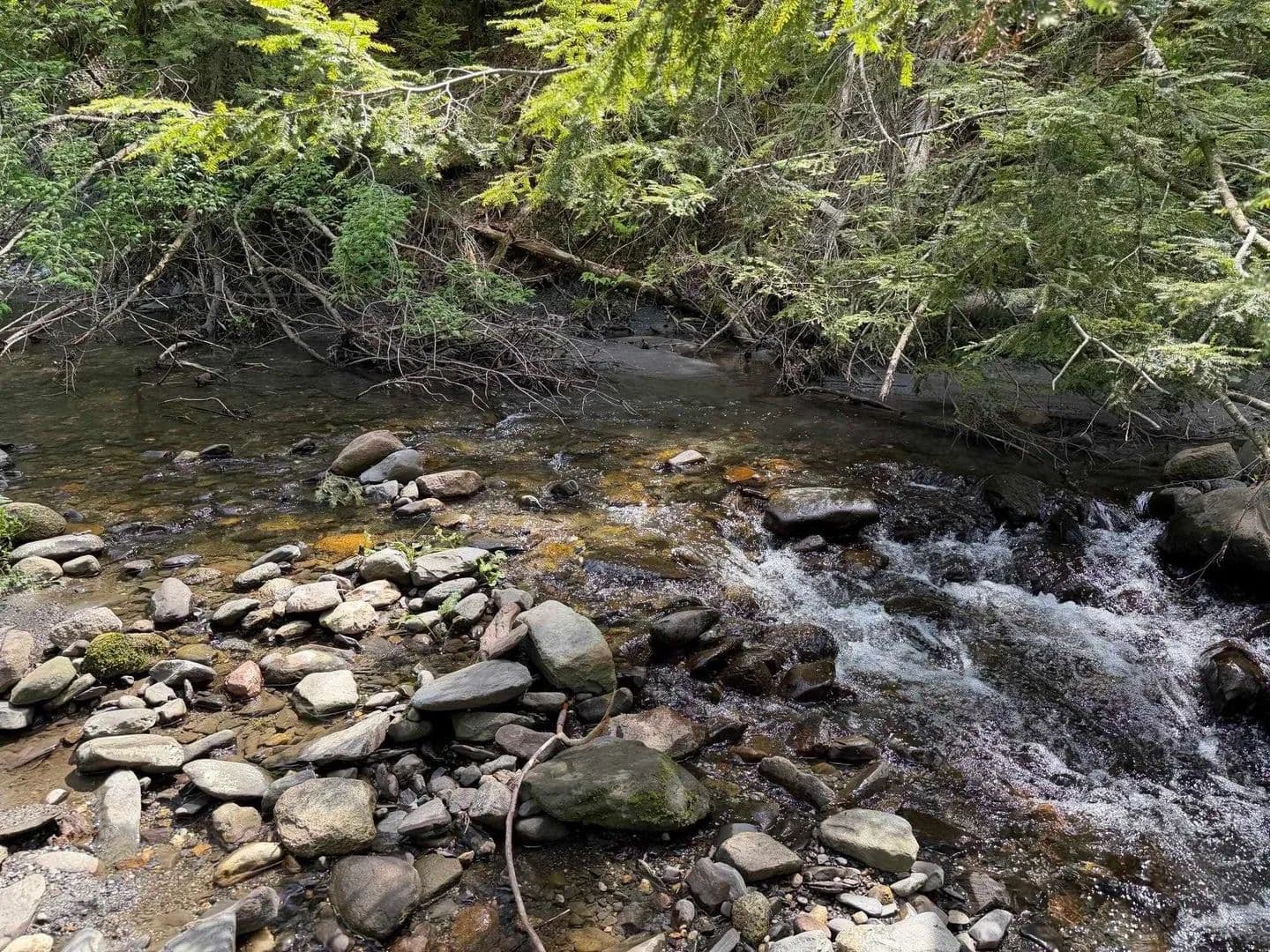Property from 2278 Valley Road - KW - Holland, Vermont, 5830