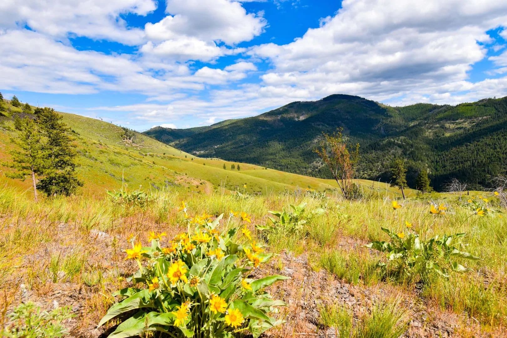 Lots & Land-Other in Plains - Plains, Montana, 59859