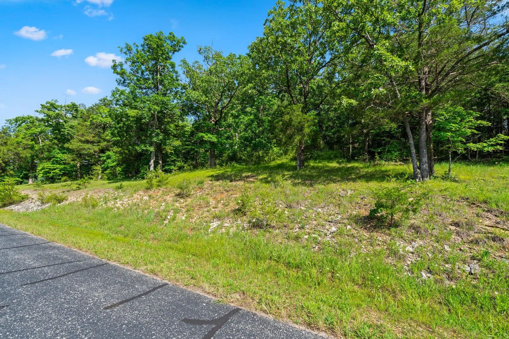 Property from Tbd Cedar Bluff Lot 91a - KW - Saddlebrooke, Missouri, 65630