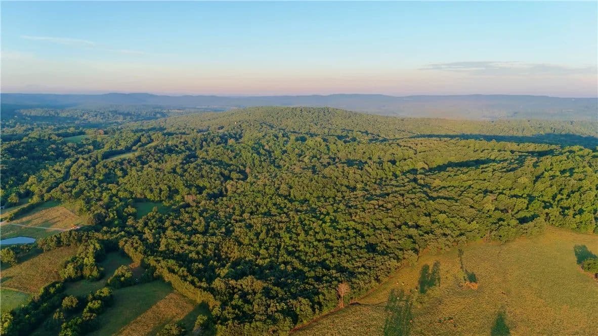 82.5 Acres of Land for Sale in Elkins, AR - Elkins, Arkansas, 72727