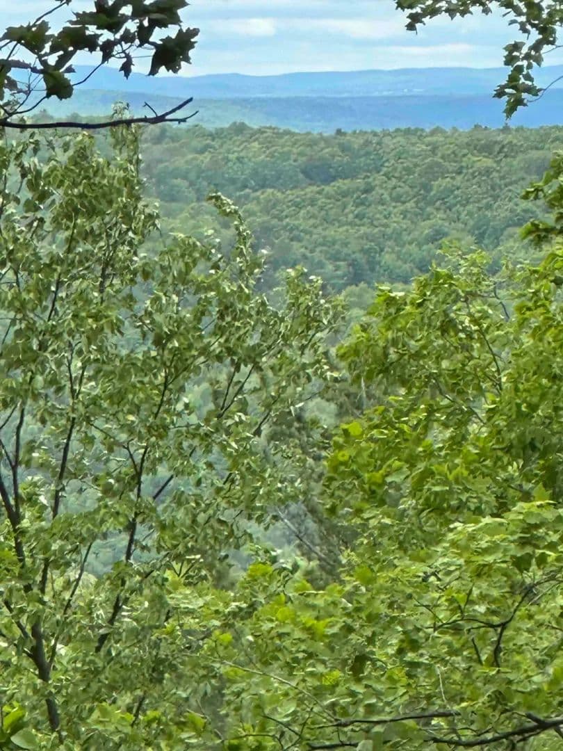 88 acres Wooded Recreational Land with Building Sites in Binghamton NY 1501 Old State Rd - Binghamton, New York, 13904