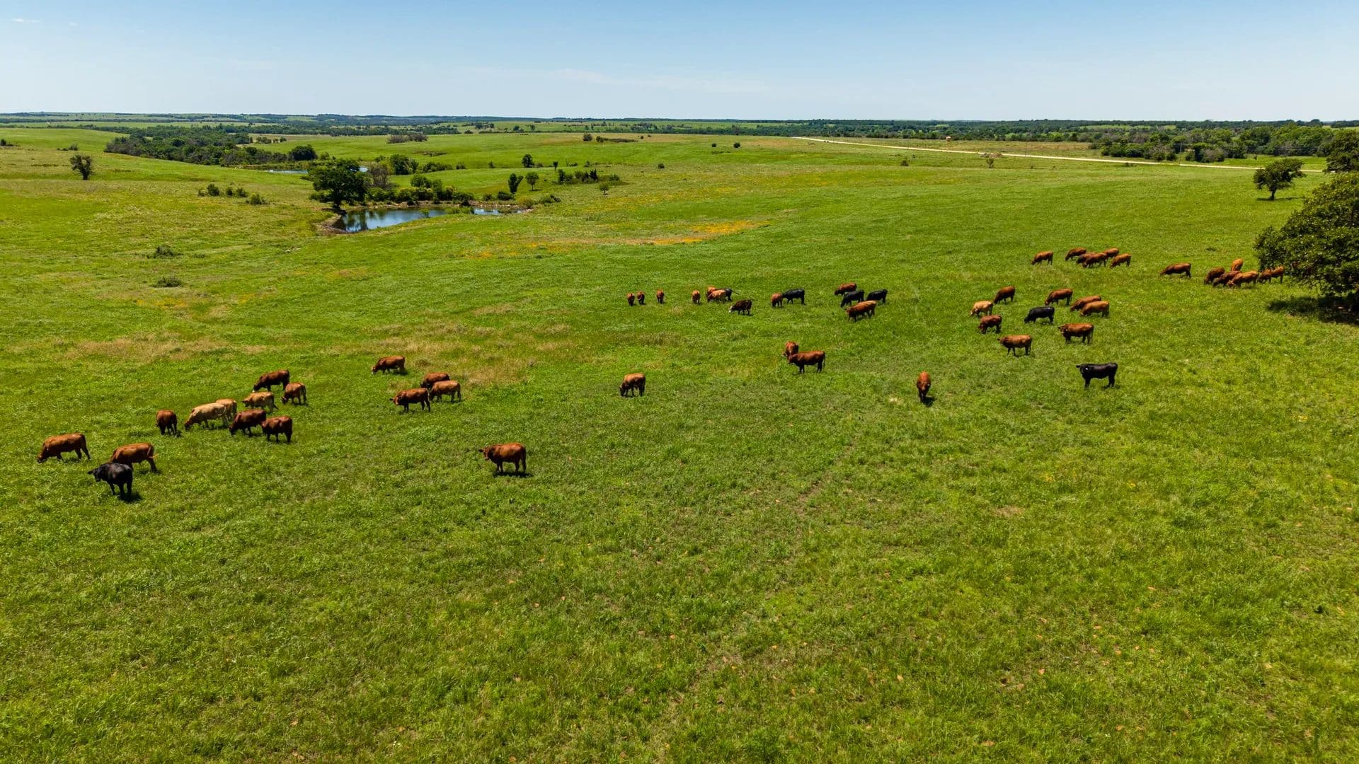 Pickett Ranch - Longton, Kansas, 67352