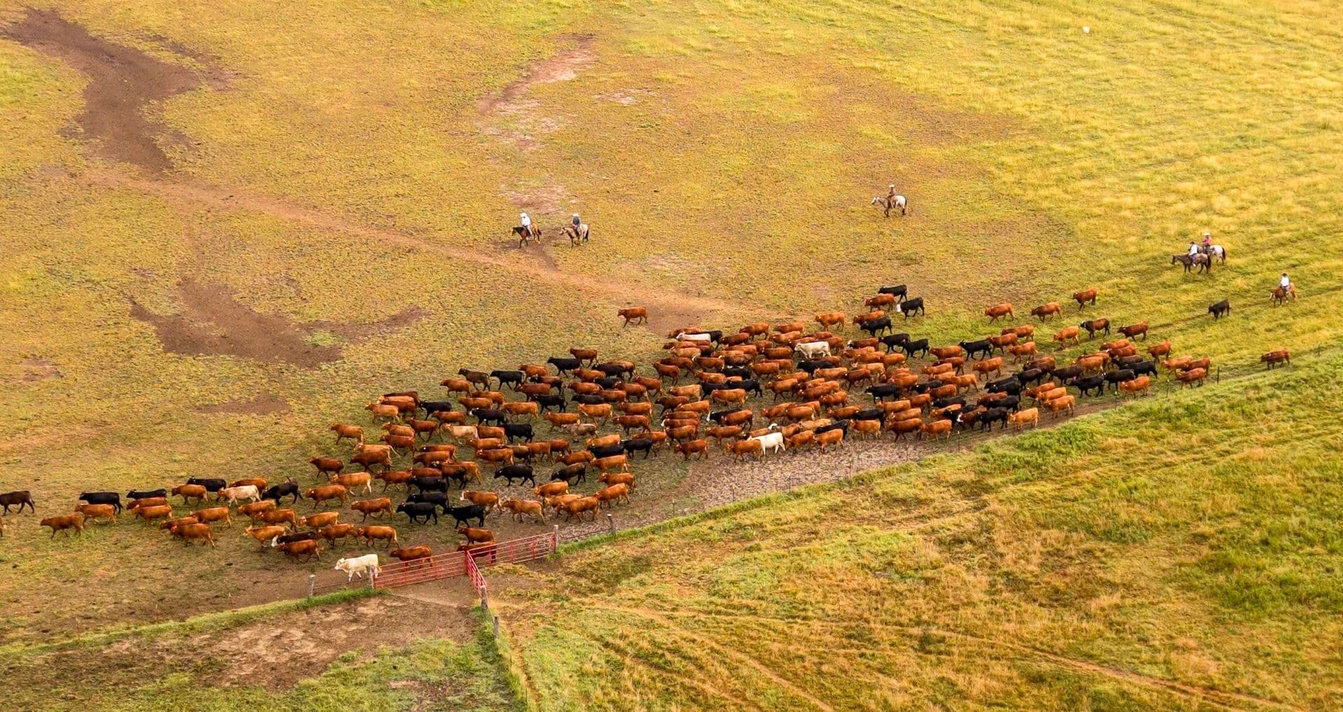 Pickett Ranch - land for sale