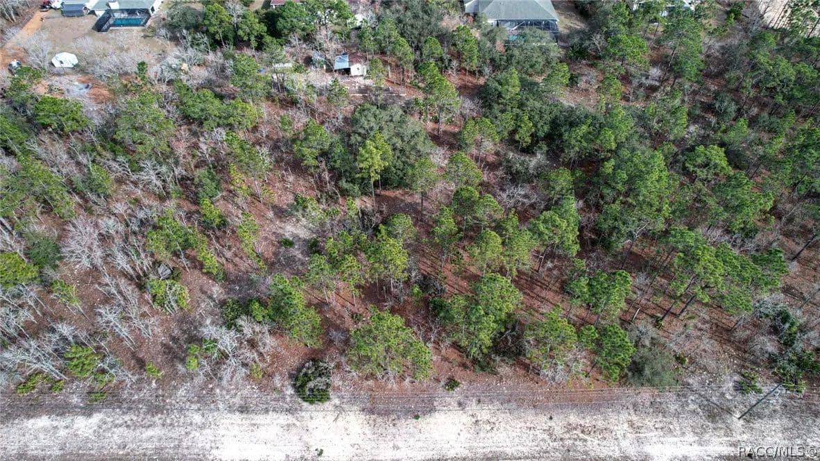 0.35 Acres of Land for Sale in Dunnellon, FL - Dunnellon, Florida, 34434