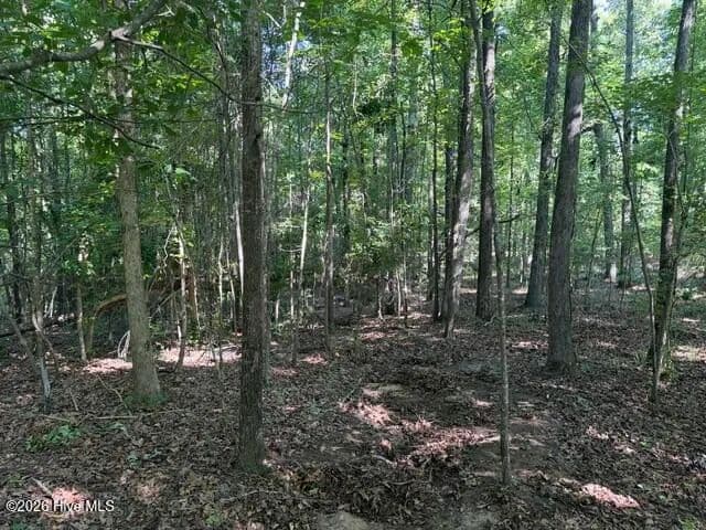 Property from 0 Wildwood Lane - KW - Thomson, Georgia, 30824