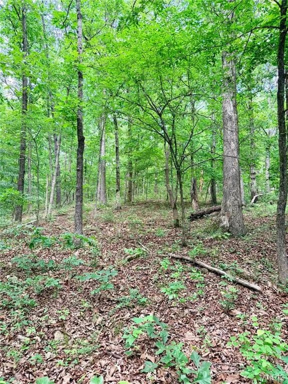 Property from 0 County Road 450 - KW - Poplar Bluff, Missouri, 63901