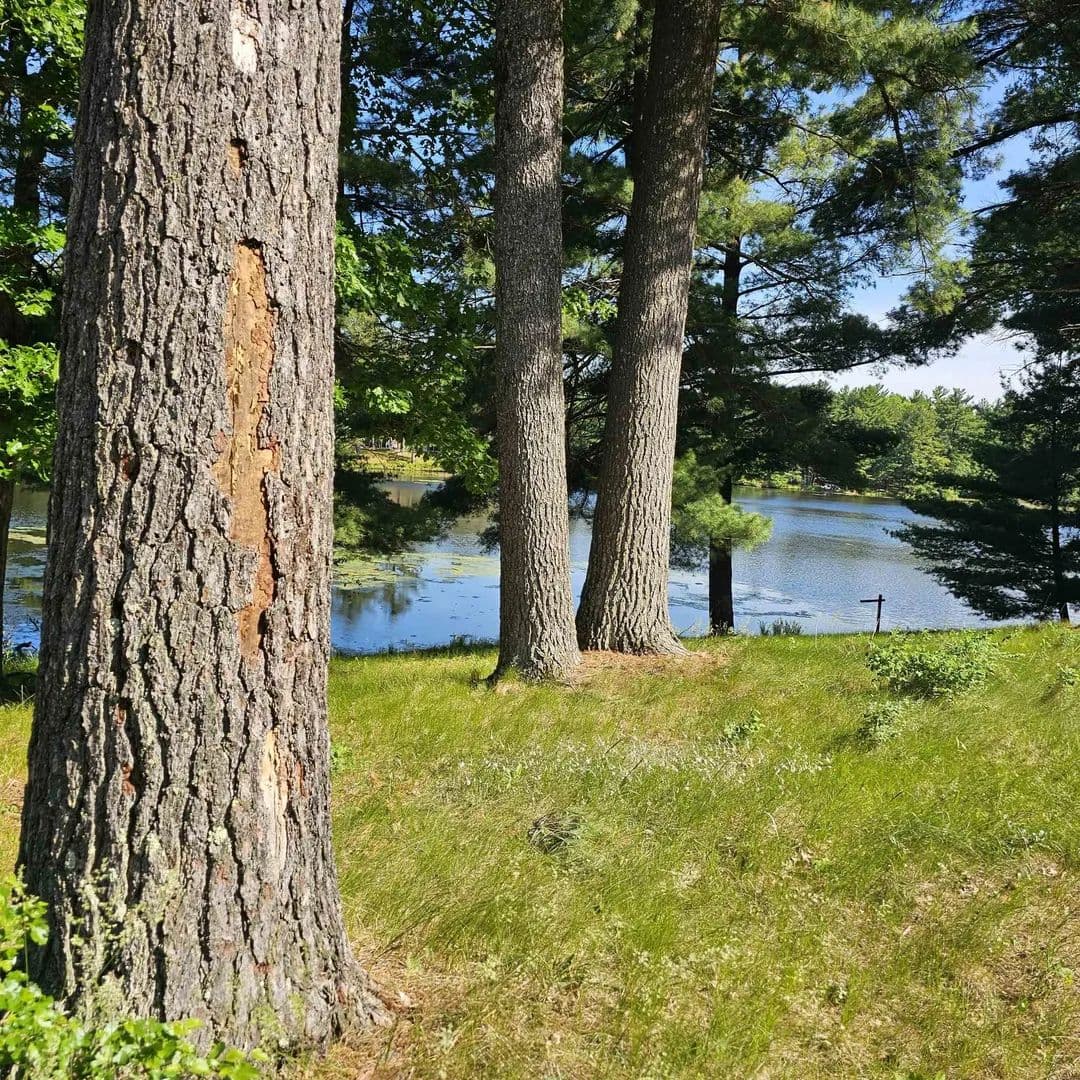 Property from 558 Blass Lake Drive - KW - Lake Delton, Wisconsin, 53965