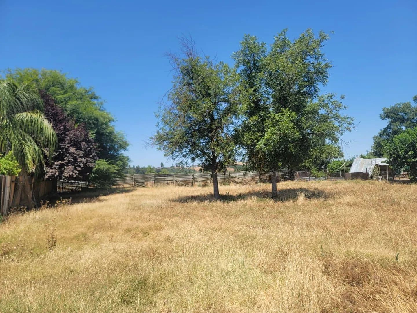 Property from Lots 31&32 Hall Avenue - KW - Lindsay, California, 93247