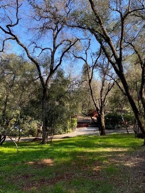 Property from 681 Foresthill Avenue - KW - Auburn, California, 95603
