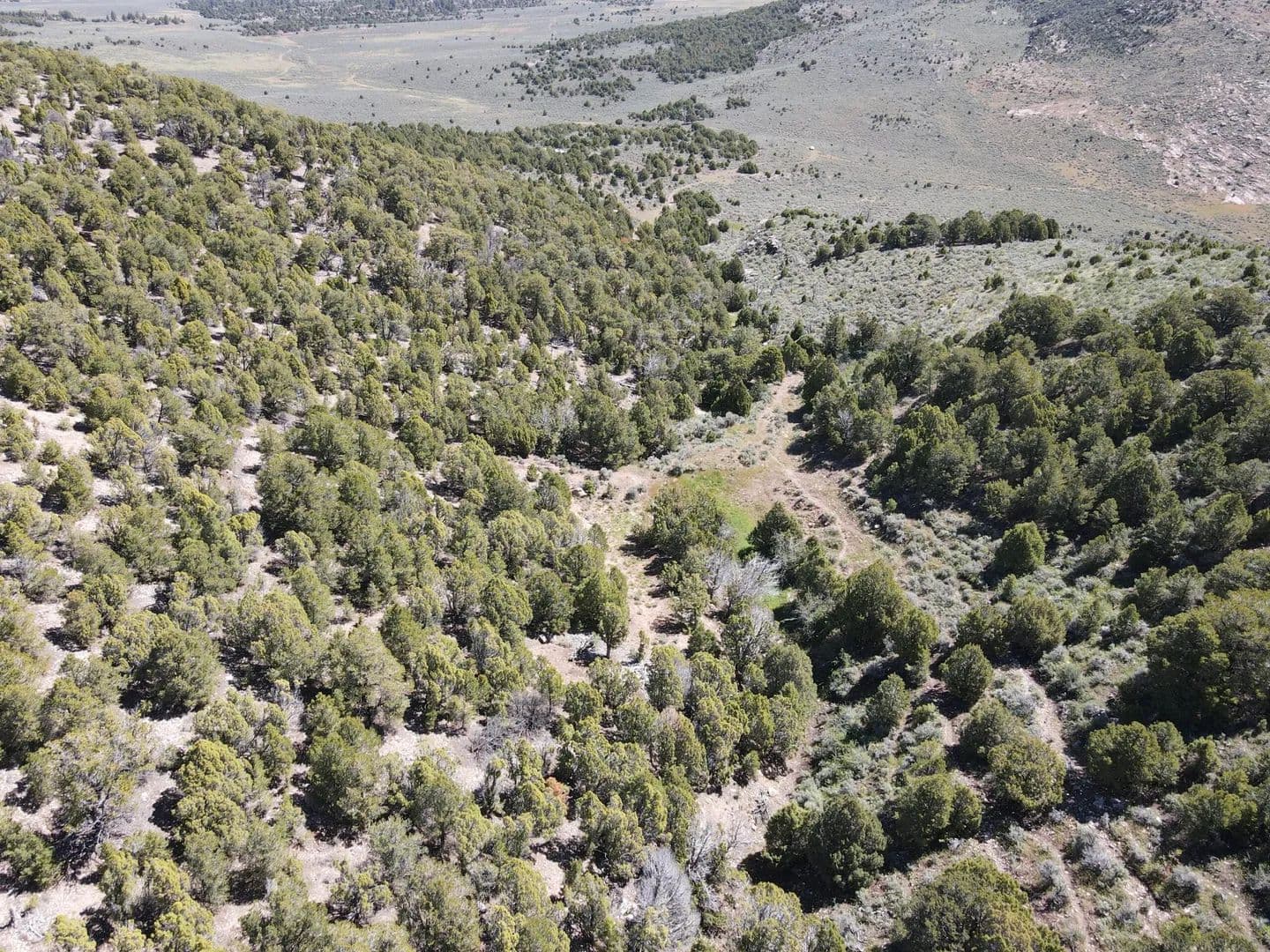 Wild Mountain In Holding - Dinosaur, Colorado, 81610