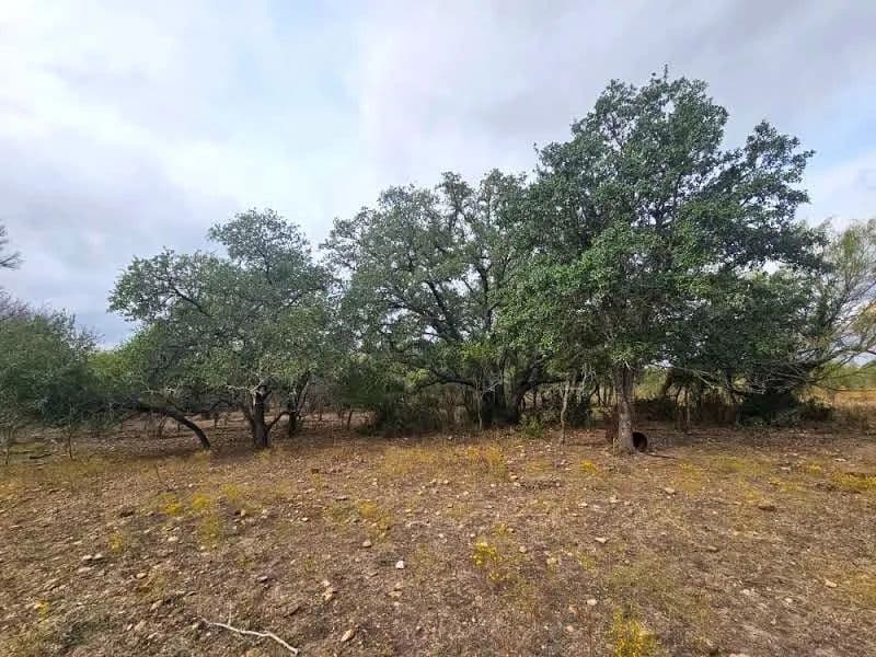 10.2 Acres of Land for Sale in Lockhart, Texas - Lockhart, Texas, 78644